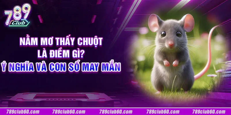 Nằm mơ thấy chuột là điềm gì? Ý nghĩa và con số may mắn